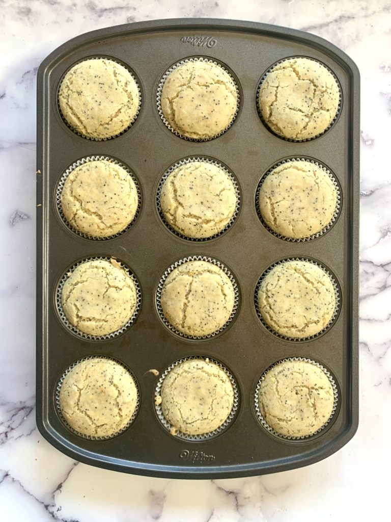Baked muffins still in the tin