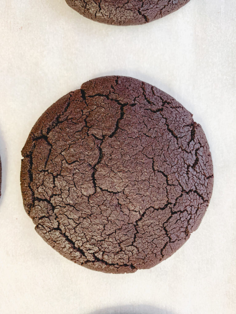 One baked cookie before chocolate coating