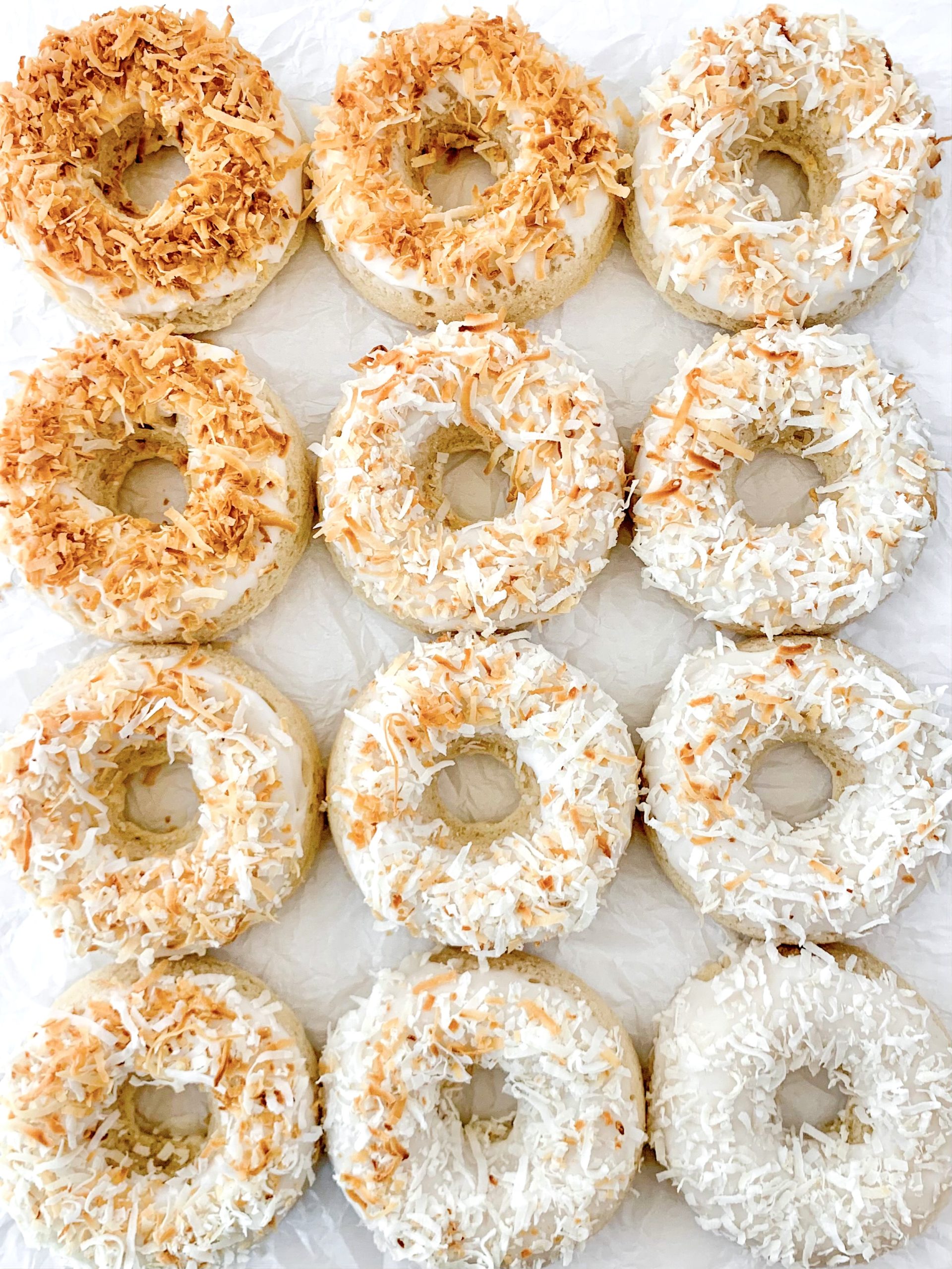 One dozen donuts arranged with a color gradient from dark brown toasted coconut flakes on top to white untoasted coconut flakes on top