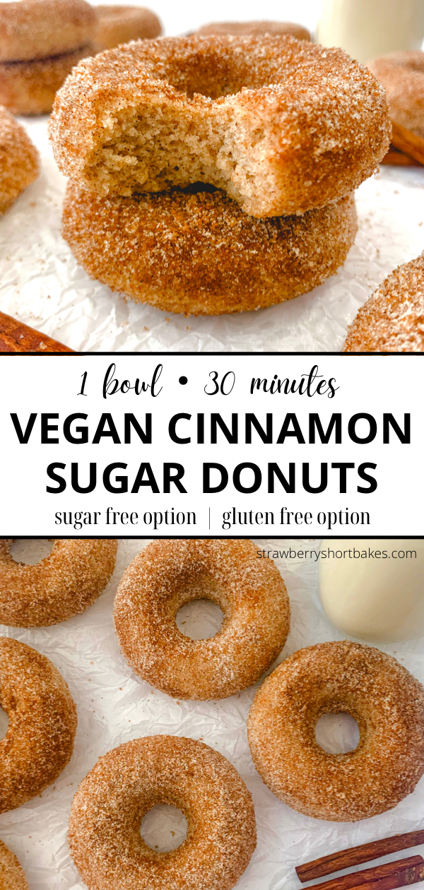 Baked Vegan Cinnamon Sugar Donuts (Gluten Free and Sugar Free options ...